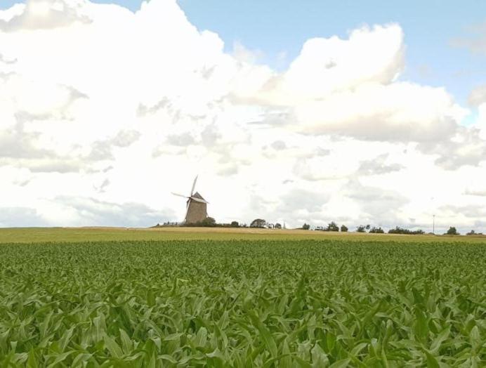 Gite Timeo Mont Saint-Michel Pontorson Eksteriør bilde